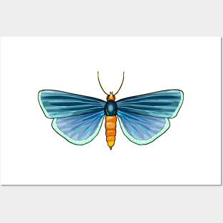 Butterfly Posters and Art